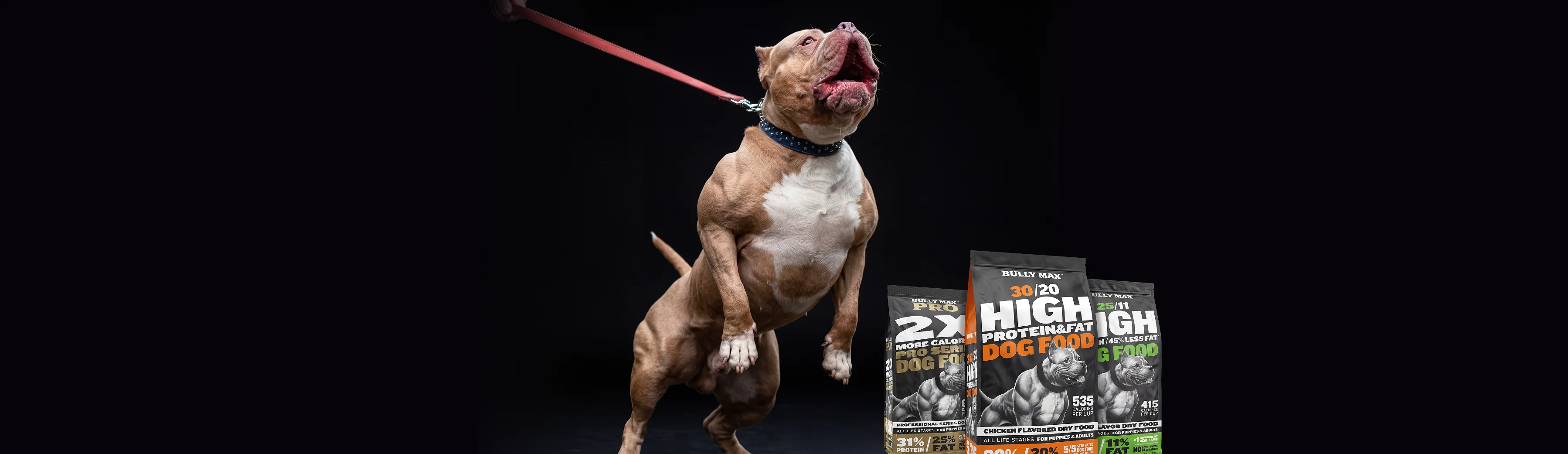 Build Peak Canine Performance