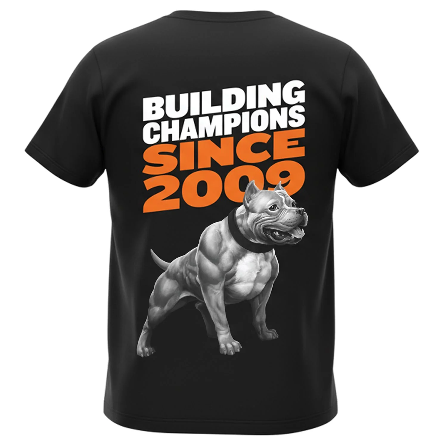 Dog Gear & Lifestyle Accessories